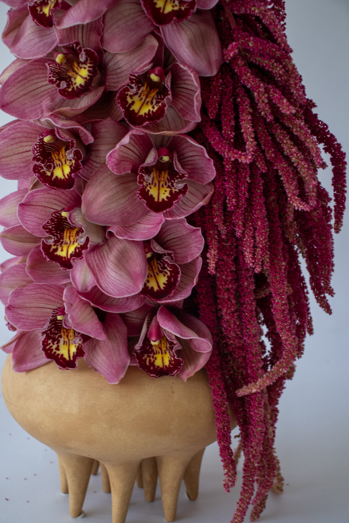 Velvet Bloom – Petite