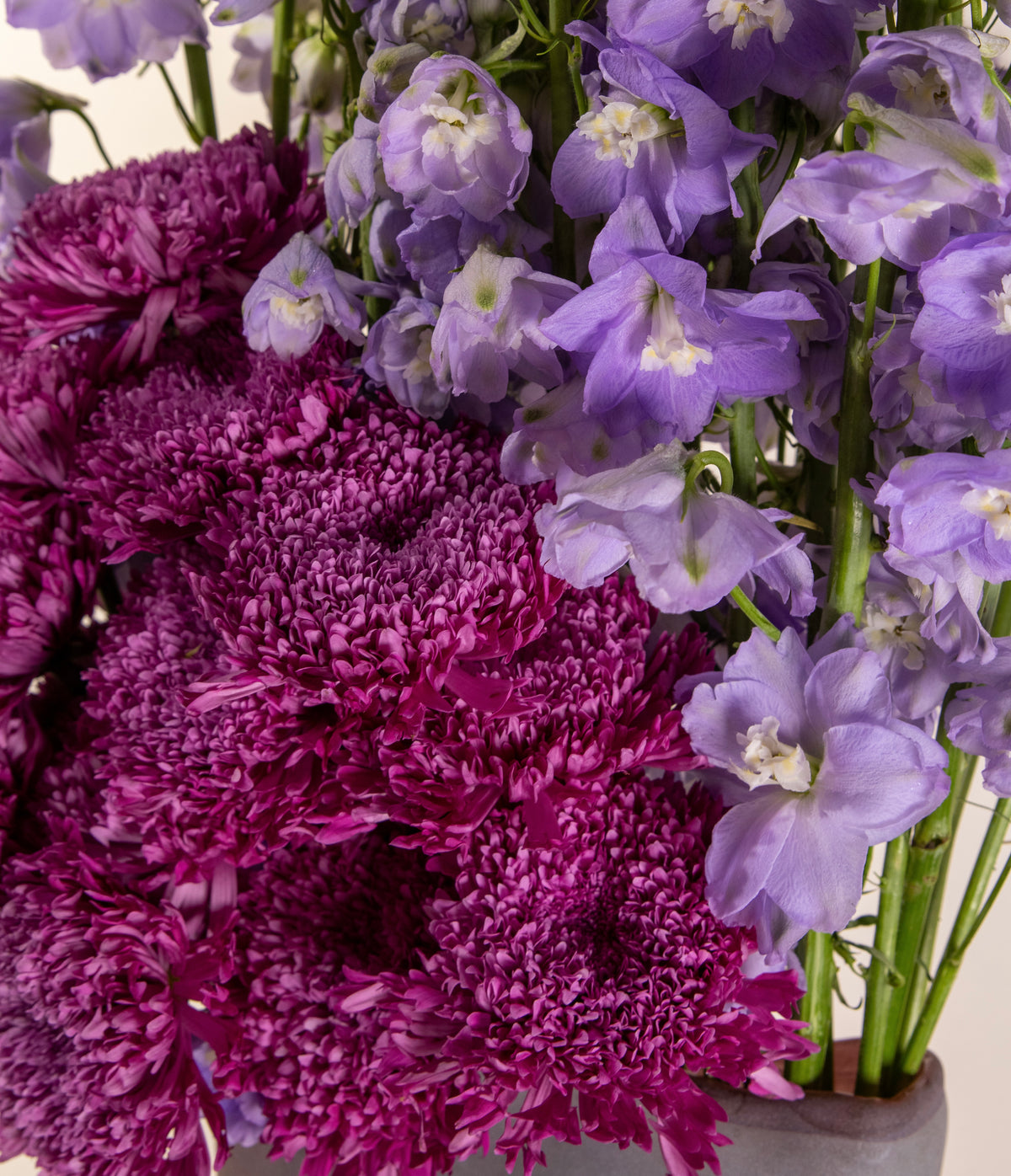 Delphinium Bloom
