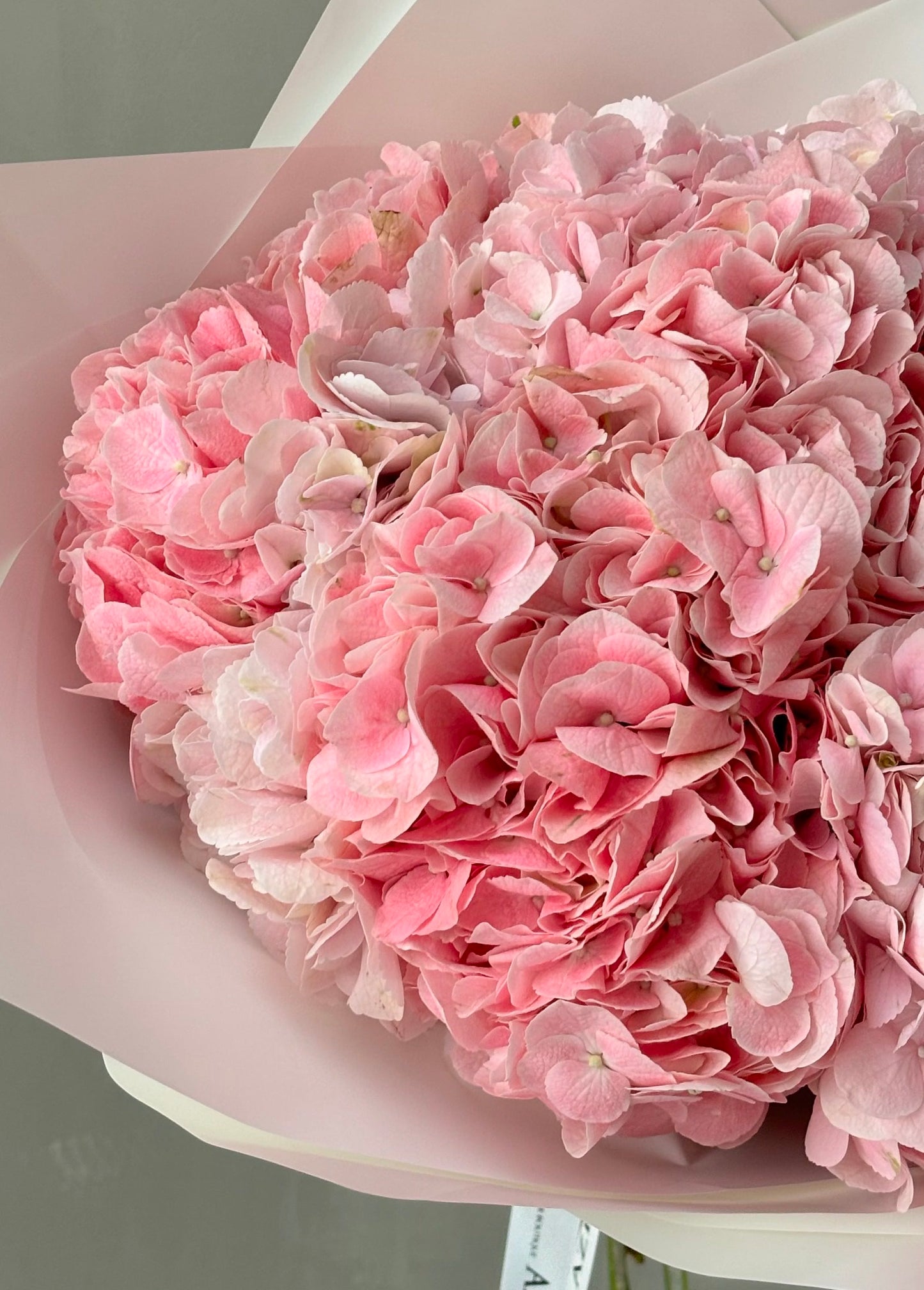 Bouquet "Cotton Candy"