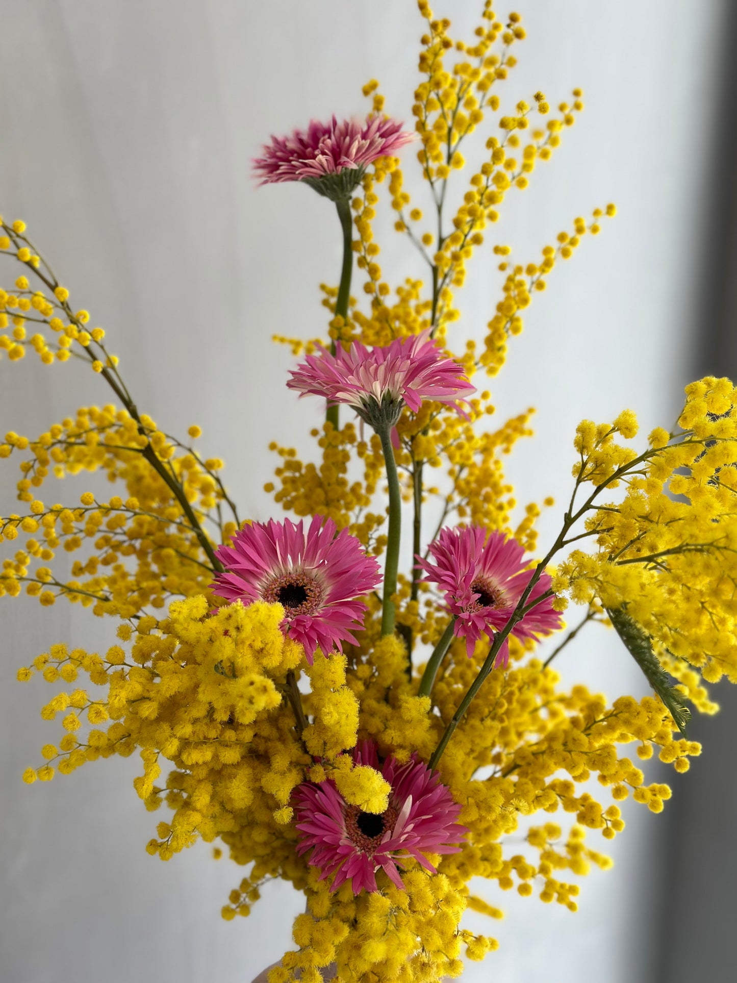 Mimoza Vase
