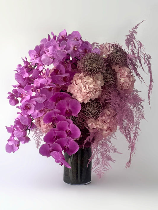 Orchid Éternelle