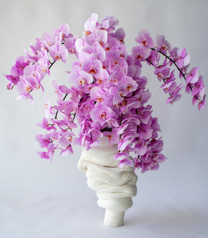Orchid Muse