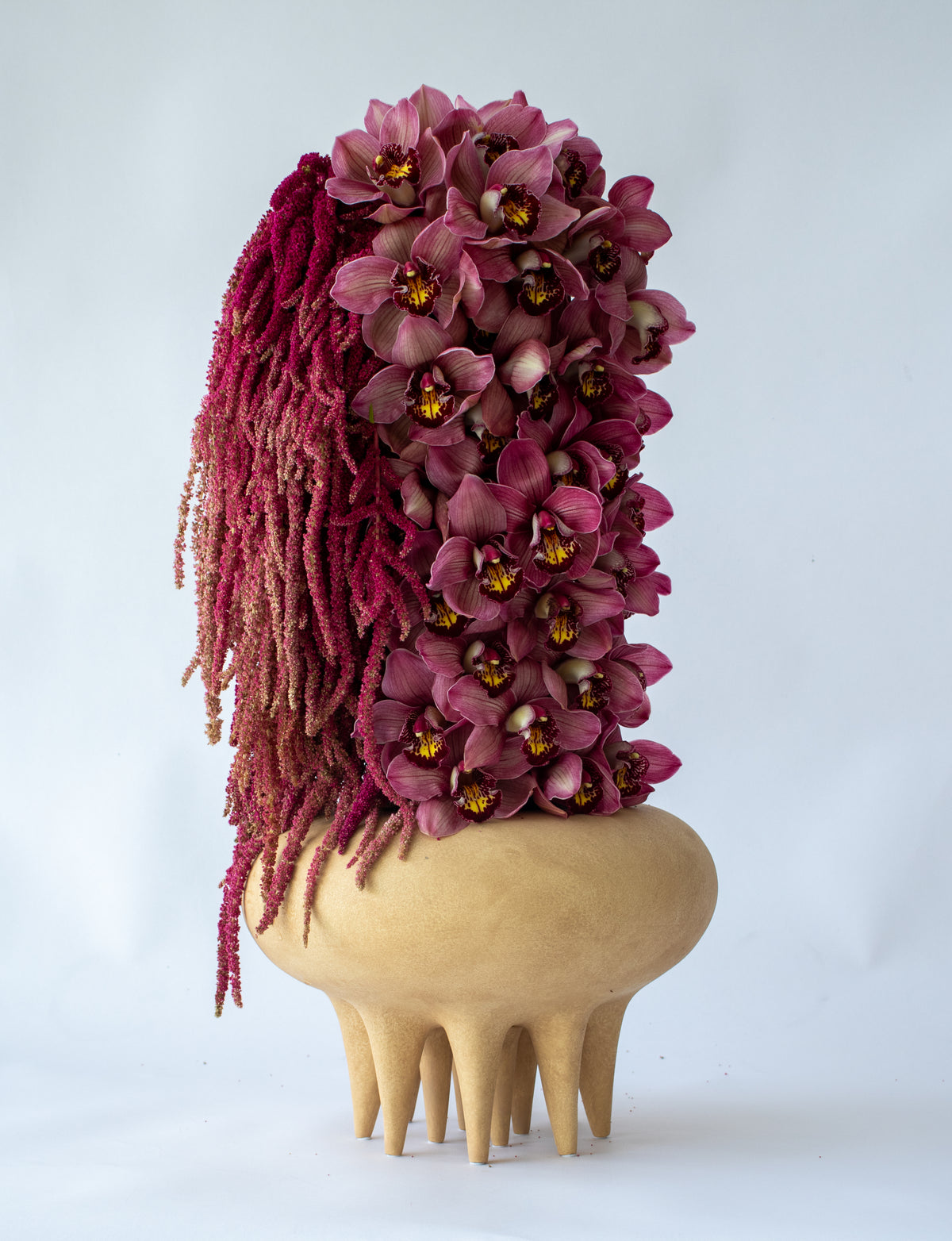 Velvet Bloom – Grande