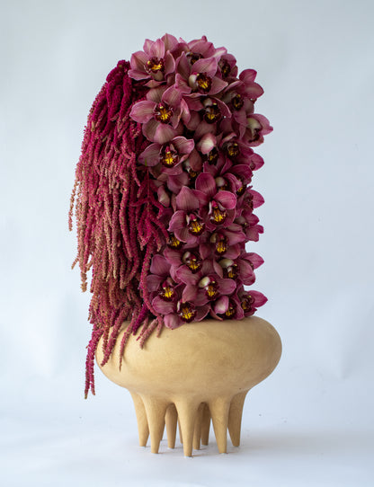 Velvet Bloom – Grande