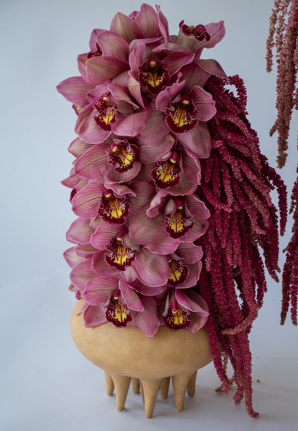 Velvet Bloom – Petite