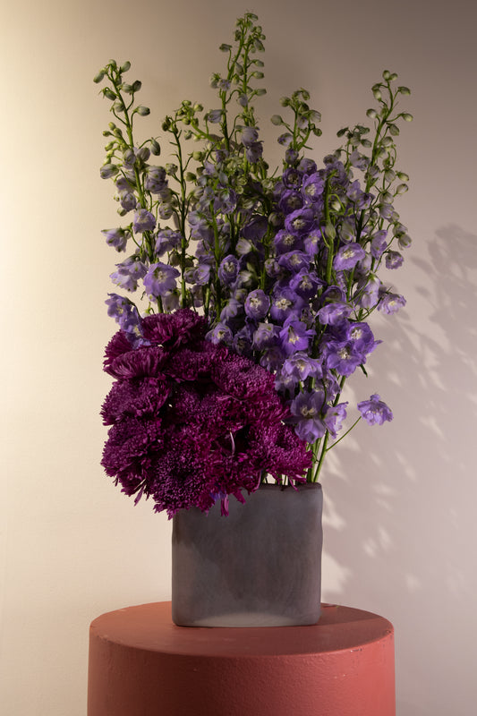 Delphinium Bloom