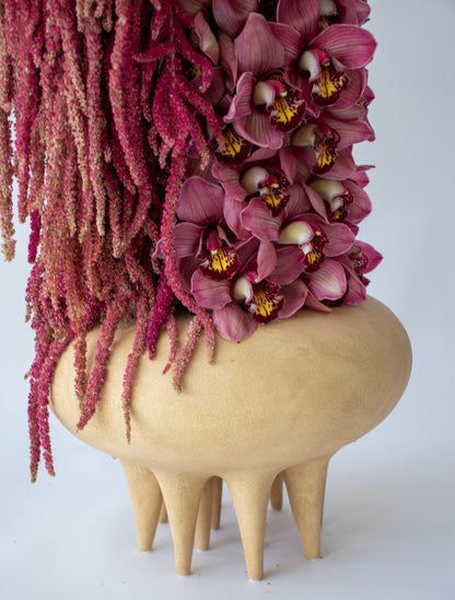 Velvet Bloom – Grande