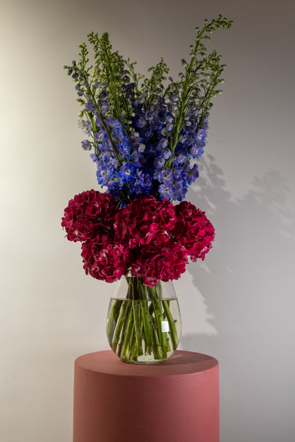 The Fragrance of Hydrangea