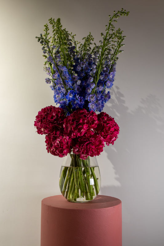 The Fragrance of Hydrangea
